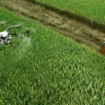 How Autonomous Drones Are Changing Industries from Agriculture to Delivery